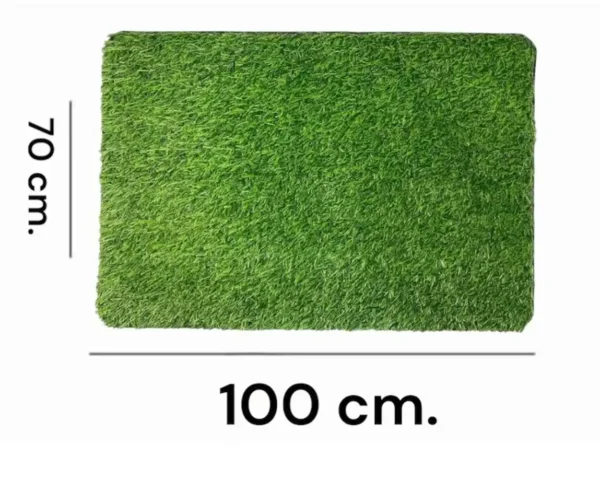 Alfombra pequeña, tapete de césped artificial 70 x 100 cm - Image 5